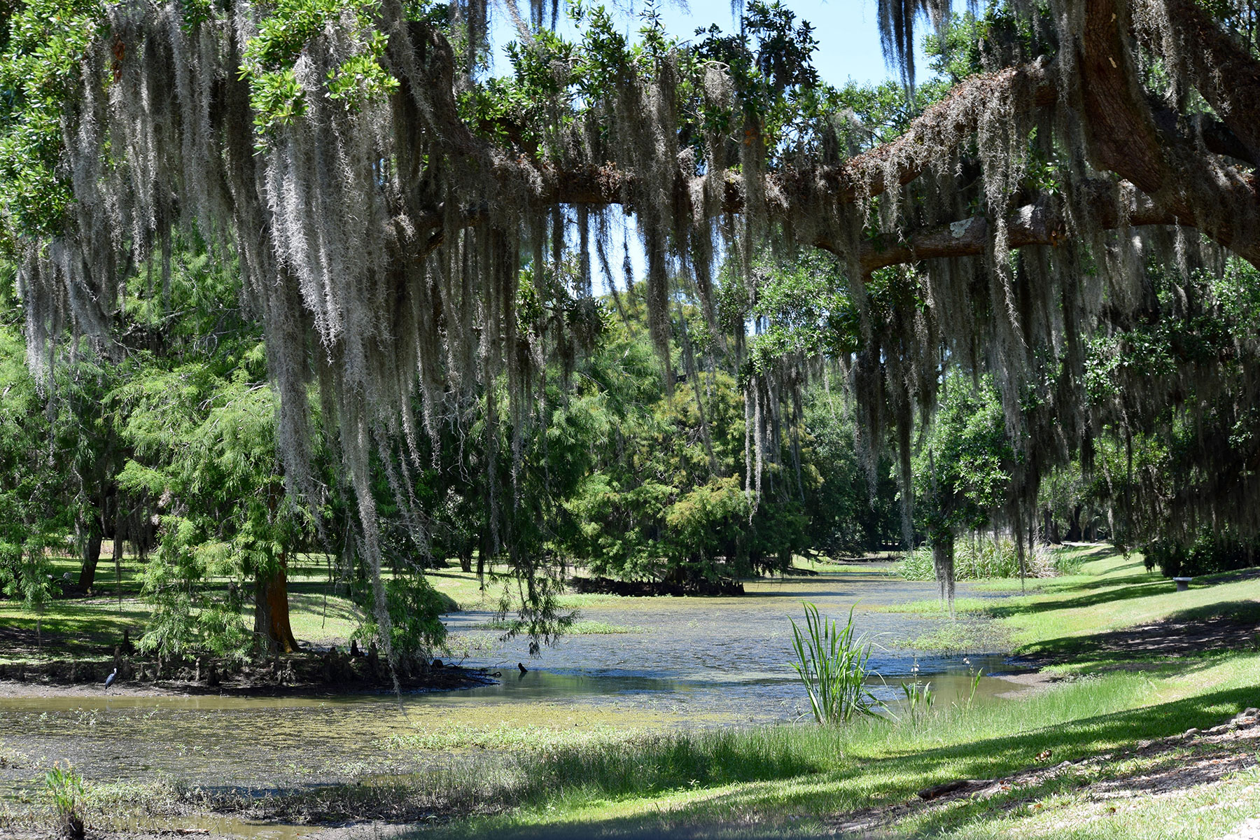 Iberia Parish Government